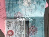 Ảnh số 21