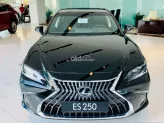 Lexus ES 250 2023 - Bảo hành chính hãng 5 năm không giới hạn Km