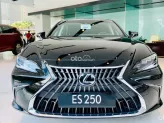 Lexus ES 250 2023 - Bảo hành chính hãng 5 năm không giới hạn Km