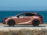 Lexus RX 500h 2023 - Sang trọng, đẳng cấp thượng lưu