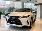 Lexus RX 300 2023 - Vẻ ngoài mạnh mẽ thu hút mọi ánh nhìn