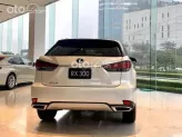 Lexus RX 300 2023 - Vẻ ngoài mạnh mẽ thu hút mọi ánh nhìn