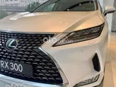 Lexus RX 300 2023 - Vẻ ngoài mạnh mẽ thu hút mọi ánh nhìn