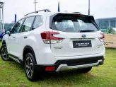 Subaru Forester 2.0i-S EyeSight 2024 - 🎁 TẶNG 3 NĂM BẢO DƯỠNG MIỄN PHÍ CHÍNH HÃNG - Giảm thêm khi LH: 0979 753 204 Mr Thắng