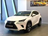 Lexus NX 300 T 2018 - 1 chủ từ đầu đẹp như mơ