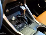 Lexus NX 300 T 2018 - 1 chủ từ đầu đẹp như mơ