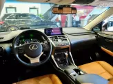 Lexus NX 300 T 2018 - 1 chủ từ đầu đẹp như mơ
