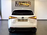 Lexus NX 300 T 2018 - 1 chủ từ đầu đẹp như mơ