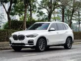 BMW X5 xDrive40i xLine 2019 - Nhập Mỹ Trắng nội thất nâu