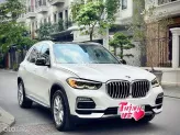 BMW X5 xDrive40i xLine 2019 - Cần bán BMW X5 Xline sx 2019 nhập Mỹ nguyên chiếc