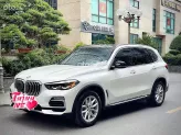 BMW X5 xDrive40i xLine 2019 - Cần bán BMW X5 Xline sx 2019 nhập Mỹ nguyên chiếc