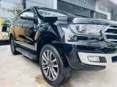 Ford Everest 2.0L ST5 6AT 2WD Titanium 2019 - FORD EVEREST 2019 TITANIUM_1 CHỦ ĐI RẤT KỸ