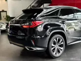 Lexus RX 300 T 2019 - Xe bảo dưỡng đầy đủ, bao check thoải mái