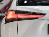 Lexus NX 300 T 2019 - Chất xe còn đẹp, chủ đi giữ, nội thất khỏi chê