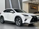 Lexus NX 300 T 2019 - Chất xe còn đẹp, chủ đi giữ, nội thất khỏi chê