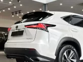 Lexus NX 300 T 2019 - Chất xe còn đẹp, chủ đi giữ, nội thất khỏi chê