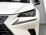 Lexus NX 300 T 2019 - Chất xe còn đẹp, chủ đi giữ, nội thất khỏi chê