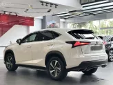 Lexus NX 300 T 2019 - Chất xe còn đẹp, chủ đi giữ, nội thất khỏi chê