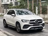 Mercedes-Benz GLE 450 4Matic 2019 - 1 xe duy nhất thị trường