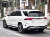 Mercedes-Benz GLE 450 4Matic 2019 - 1 xe duy nhất thị trường