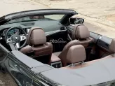 BMW 430i Convertible 2023 - BMW 430i Convertible M-Sport 2024