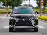 Lexus RX 300 2019 - Lexus RX 300 2019