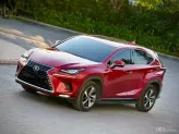 Lexus NX 300 T 2019 - Thiết kế thể thao, đẳng cấp vượt trội