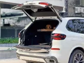BMW X5 xDrive40i Msport 2024 - Xe màu trắng nội thất nâu
