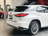 Lexus RX 300 2021 - Nội thất nâu cực mới, bảo dưỡng định kỳ