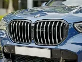 BMW X5 xDrive40i Msport 2020 - Xanh