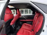 Lexus RX 300 F-Sport 2021 - Model 2022 Siêu Hiếm