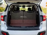 Ford Everest Ambiente 2.0 AT 4x2 2019 - Máy dầu tiết kiệm, Gầm cao, khung gầm chắc chắn vận hành ổn định