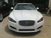 Bán Jaguar XF đời 2014, màu trắng, nhập khẩu