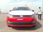 Bán xe Volkswagen Polo E đời 2018, màu đỏ, nhập khẩu giá tốt