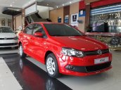 Xe Volkswagen Polo   2015