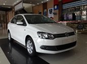 Xe Volkswagen Polo  2015