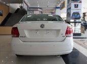 Xe Volkswagen Polo  2015