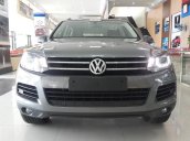 Xe Volkswagen Touareg  2015