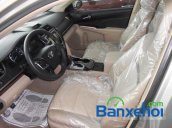 Bán Toyota Camry XLE năm 2014, màu bạc, giao xe ngay