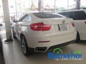 Xe BMW X6 đời 2010, màu trắng đã đi 49889 km giá 2,34 tỉ