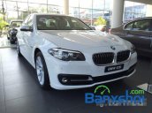 Euro Auto BMW 4S Long Biên bán ô tô BMW 528i Gt sản xuất 2014, màu trắng, xe nhập