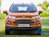 Bán xe Ford EcoSport đời 2015