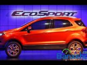 Bán xe Ford EcoSport đời 2015