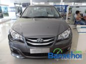 Cần bán xe Hyundai Elantra đời 2014 giá 705 triệu