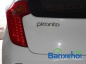 Cần bán xe Kia Picanto cũ, màu trắng, giá 425Tr