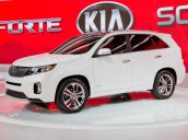 Bán xe Kia Sorento  2014 mới tại Quảng Trị giá 903 Triệu