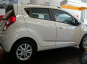 Bán xe Chevrolet Spark LTZ 2015 mới tại TP HCM giá 352 Triệu