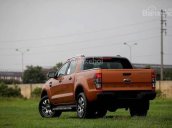 Bán xe Ford Ranger Wildtrak 3.2 4x4 AT đời 2017, nhập khẩu nguyên chiếc, giá tốt nhất tại Bắc Giang