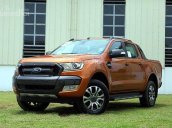 Bán xe Ford Ranger Wildtrak 3.2 4x4 AT đời 2017, nhập khẩu nguyên chiếc, giá tốt nhất tại Bắc Giang