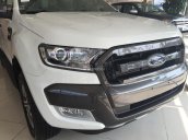 Ford Thái Bình bán ô tô Ford Ranger Wiltrak, đủ màu, nhập khẩu chính hãng, giá tốt nhất tại Thái Bình